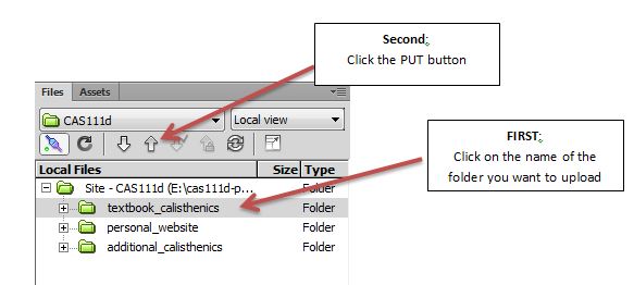 Files Panel