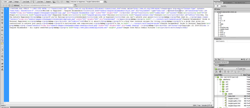 Tangled Salamanders Home Page in Code view