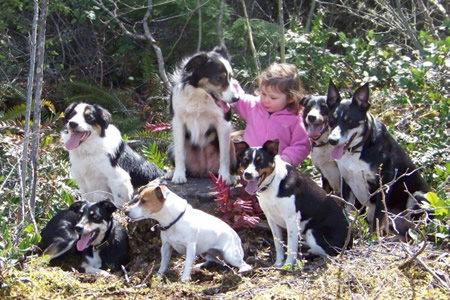 maddy and all the dogs