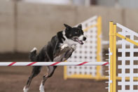 zipper going over a jump