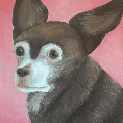 Painting of a brown Chiwawa with a pink background