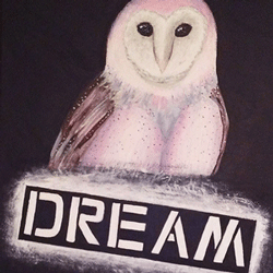 Painting of a colorful barn owl with Dream painted on the bottom in a spray paint style