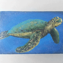 a wooden box with a sea turtle painted on it with acrylic paints