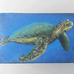 Sea turtle painted on wooden box