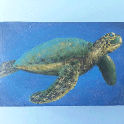 Wooden box with a sea turtle painted on the front