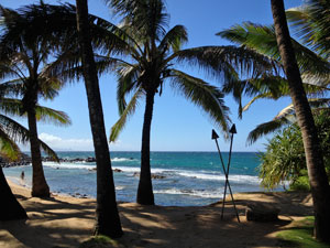 Maui Beach