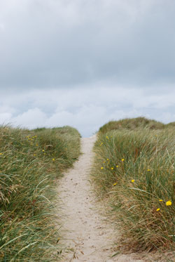 Beach Path