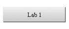 Lab 1