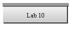 Lab 10