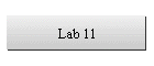 Lab 11