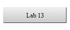 Lab 13