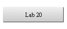 Lab 20