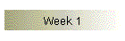 Week 1