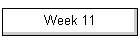 Week 11