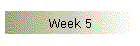 Week 5