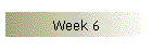 Week 6